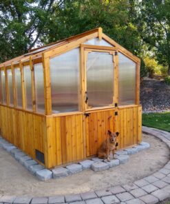 Cedar Greenhouse 8x12 with a dog