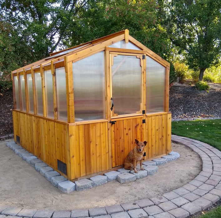 Cedar Greenhouse 8×12 with a dog in front