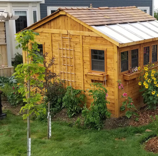 Outdoor backyard Sunshed Garden Shed 12x12 1