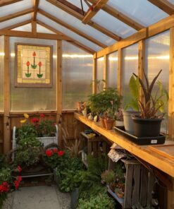 Wooden Cedar Greenhouse 8x12 interior