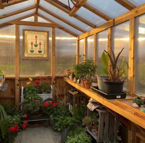 Wooden Cedar Greenhouse 8x12 interior